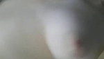Loverlaci Onlyfans video collection – 271