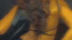 Mrs Kumud Verma Bold SENSUOUS IN Black Bra Saree Seduction Videos 2 5