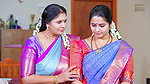 Matured_Sanghavi_Open_navel_and_tummy_Haripriya_sexy_big_ass_and_navel1