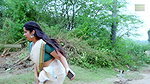 Matured_Sanghavi_Open_navel_and_tummy_Haripriya_sexy_big_ass_and_navel1