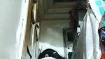 Chashmish pakistani girl showing and both holes fingering taste own cum 11 vids 2 3