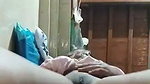 Chashmish pakistani girl showing and both holes fingering taste own cum 11 vids 2 1