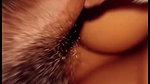 desi big boob wife sucking