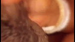 desi big boob wife sucking