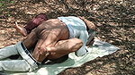 Hot fuck in Forest