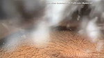 Mallu Aunty And Brother In Law Having Sex Hiding From Others