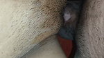 Real Indian Couple First Time on Camera