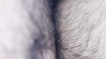 Stepbrother Sex in Room