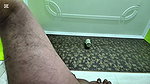 Stepsister fuk