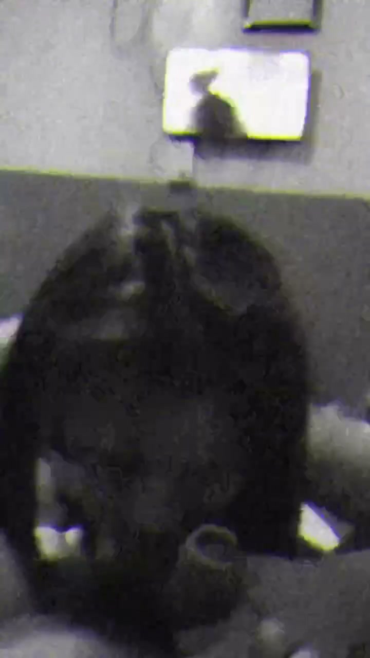 Frame 4