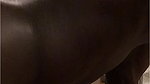 beatifulnaughtyblondie Onlyfans video collection – 1