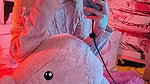 Liensue Onlyfans video collection – 84
