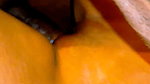 Aniket gave Sanjana the pleasure of his cock in her mouth