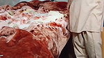 Christy Marks & Terry Nova Pakistani fuck in