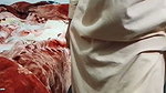 Christy Marks & Terry Nova Pakistani fuck in