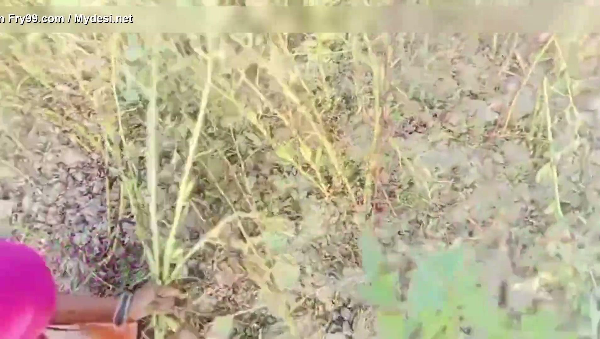 Frame 6