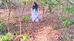 Desi Outdoor Jungle Fuck. Stepmom and Stepson Hardcore Fucking in Forest. Telugu Dirty Talks
