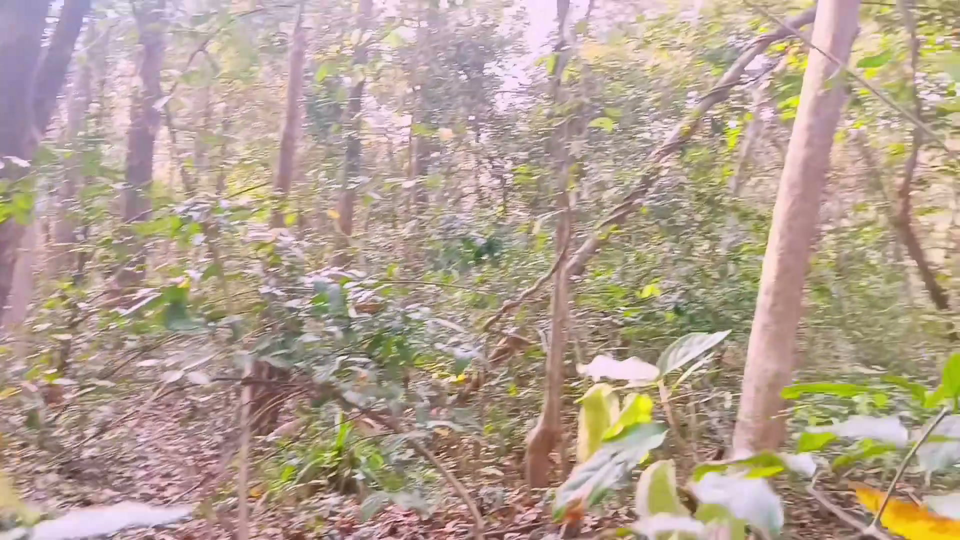 Frame 9