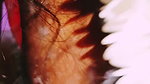 Indian Couple Dirty Husbend Sexy Wife Crezy Fucking Telugu Dirty Talks