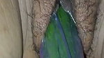 Indian desi sister-in-law with cucumber