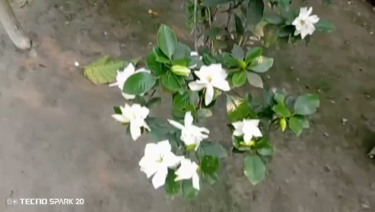 Frame 9