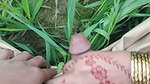 Social Experiment XXX Random Guy Licks My Pussy Outdoors