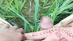 Social Experiment XXX Random Guy Licks My Pussy Outdoors