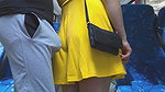 Stranger Touch her Butt without permission with his erection and CUMS Hard Inside Bus Vehicle by Girl’s Hand