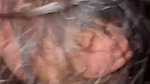 G__2_2
