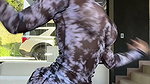 Steffy Moreno Onlyfans video collection – 396