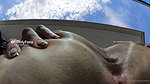 Steffy Moreno Onlyfans video collection – 489