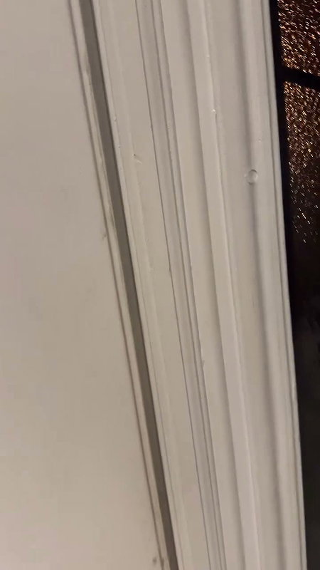 strawberrytabby Onlyfans video collection – 219