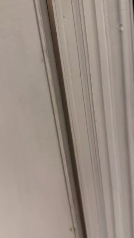 strawberrytabby Onlyfans video collection – 219