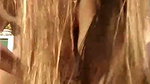 Hot_Girla 3 Ticket show pussy fingering