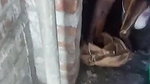 Tamil Wife bathing