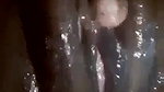 Horny Girl Wet Pussy