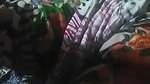 Big Gaand Bhabhi Fucking