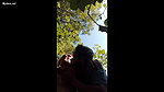 desi couple outdoor fun