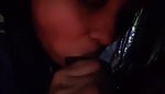 Having affair with neighbor (blowjob)