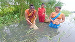 Village Womens Traditional Net Fishing on River