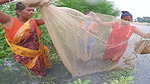 Village Womens Traditional Net Fishing on River