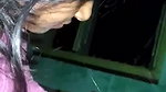 Cute sucker
