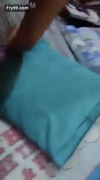Desi Married Wife Fucking 3clips Marged