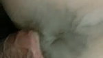 Bang in doggy