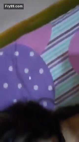 Cheater paki bhabhi fucking, and talking on phone clear hindi talking
