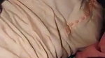 Assame Couple Fucking