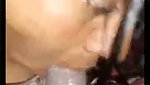 Desi Randi Sucking Dick