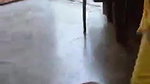 Desi Girl Sucking