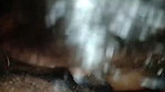 Desi village couple fucking hard