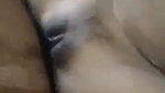 Young girl anal sex with clear hindi talking